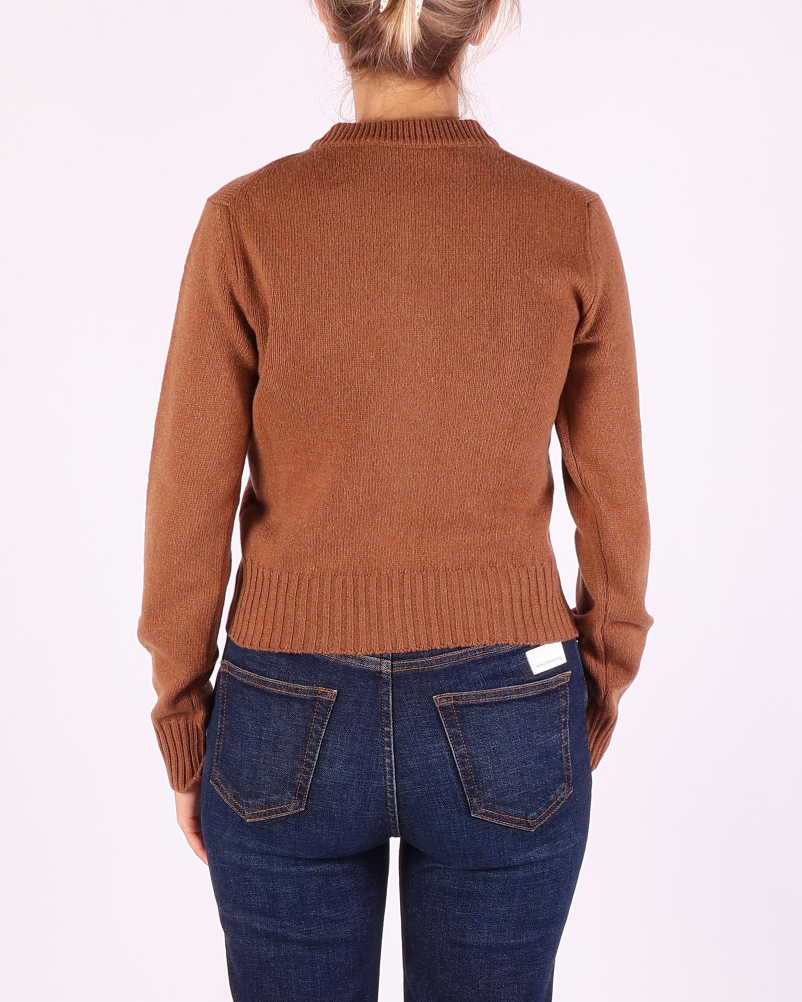 Ami Truien / Sweaters