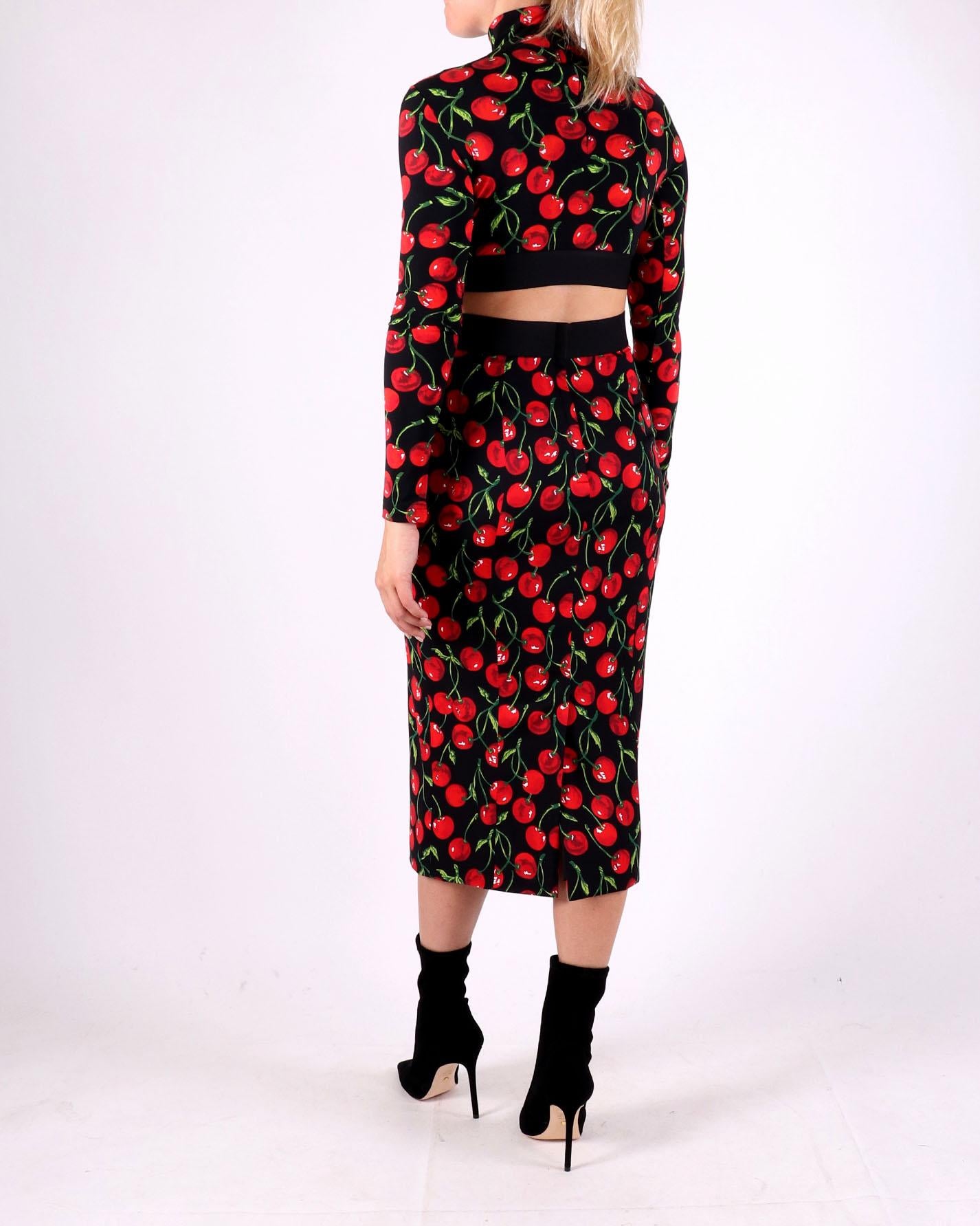 Dolce & Gabbana Rokken