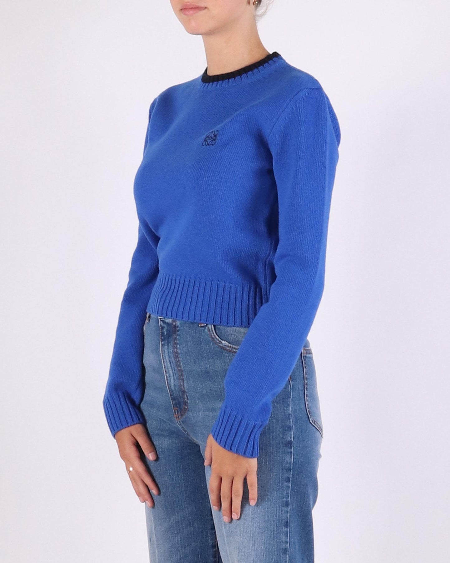 LOEWE Truien / Sweaters